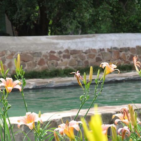 Hillside Farm Hotel Trompsburg Ngoại thất bức ảnh